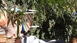 hot gay suck and fuck