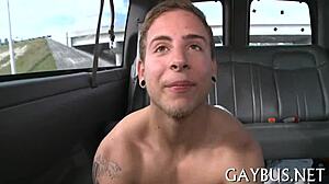 Wow, Check Out These Free Homo Sex Clips Right Now!