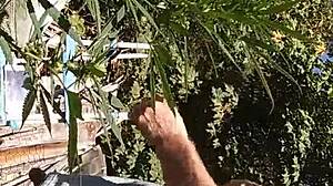 hot gay suck and fuck