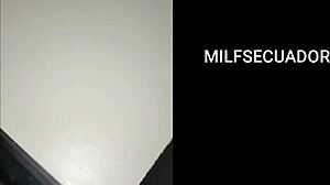 separaci�n entre la potra aleja y zamira culona