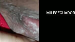 separaci�n entre la potra aleja y zamira culona