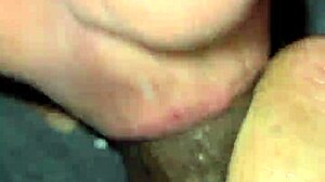 Favorite White Woman Sucks My Dick