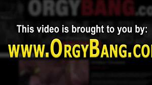 Gangbanged Babe Spunked Emotionally