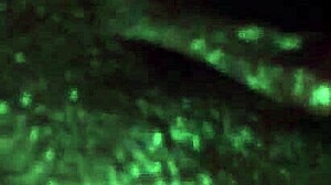 my tuesday jumpoff with that ebony babe.