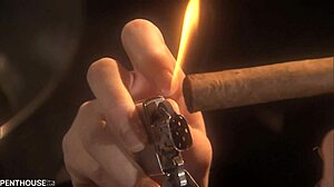 penthousegold com - bartender, wanna ride with hot blonde kylee reese in black lingerie?