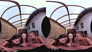 Three Amazing Table Tennis Pussies On Desk