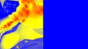 Thermal Sloppy Blowjob With Ebony Bbw Amateur