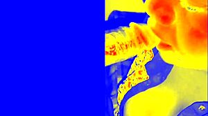 Thermal Sloppy Blowjob With Ebony Bbw Amateur