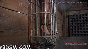 A naughty brunette maid with a fetish for bondage and a sex hungry rabbit