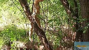 A trio of wonders in the forest