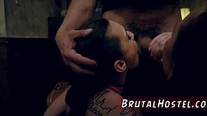 Daisy Summers' Hardcore First Time With Aidra Fox And Kharlie In BDSM