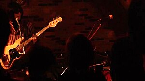 Japanese milf goes rough with deepthroat in straight action