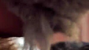 Gay sex with a cuddly toy