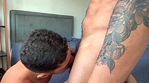 gustavo the young guy sucks big black cock