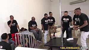 ashley adams in wild interracial gangbang