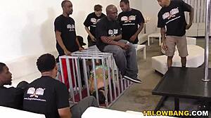 ashley adams in wild interracial gangbang