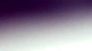 Ebony babe sucks and licks black cock.