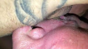 partner enjoys sucking cock in intimate moment.