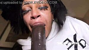 petite newbie nikki loves sucking big black cocks