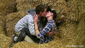 Watch these 18 twinks suck monster cocks?