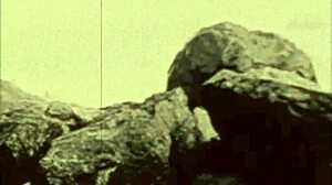 hairy beaver pussy gets blowjob in retro orgy harem group!