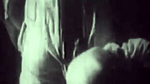 hairy beaver pussy gets blowjob in retro orgy harem group!