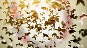 babe enjoys bathroom relaxation from behind