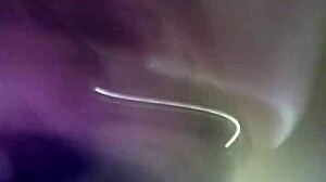 pussy stretched for rough fucking