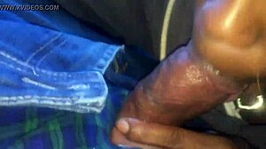 Black beauty gives a sloppy blowjob in a car