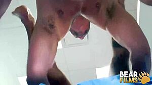 bearfilms tyler reed barebacks hairy teddy torres in wild 69