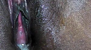 interracial creampie pov amateur