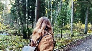 Get Lost In The Wonderlands!