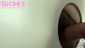 Contos e Pintos - Episode 11 Unleashed