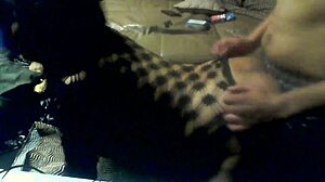 Young brunette bbw navajo tiff bent over in lingerie doggystyle.