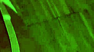 Sexy bombshell lana pov blowjob makes you cum all over