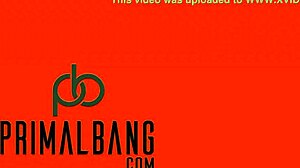 Petite brunette babe amy latina performs a striptease in lingerie