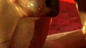 an experienced cock self-massage session