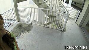 Isabella de santos, what lucrative and lusty suggestion do you have for sucking cock and fucking pussy hard?