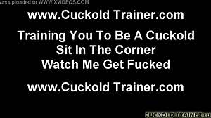 It's A Shame You Can't Make Me Cum Anymore