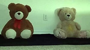 Enjoying a threesome with brown and caucasian furry toy bears during foreplay and massage