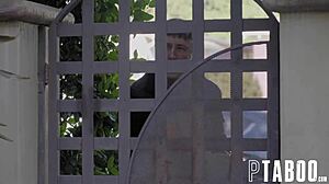 lapdog chad alva charlotte sins.