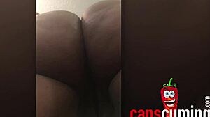 Monniluvs Big Phat Ass Compilations 2