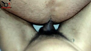 Hairy Pussy Receives Big Cock on All Fours!
