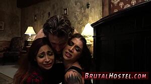 Excited Youthful 18+ Tourists Felicity Feline in Bondage Animation