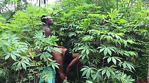 is softkind fucking stepmom from back in bush?