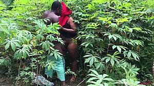 is softkind fucking stepmom from back in bush?