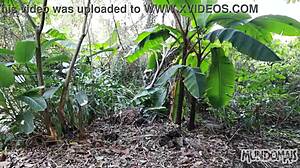 Hey, check out this blowjob in the woods with big gay cock.