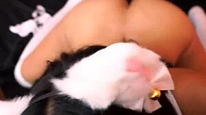Latina kitten cosplay leads to blowjob