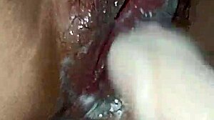 u35 lan dinh experience with various activities