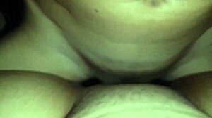 Traveler Hires Wrong Tour Guide For Adventure